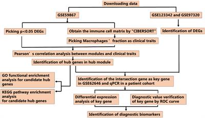 Identification and exploration of novel M2 macrophage-related biomarkers in the development of acute myocardial infarction